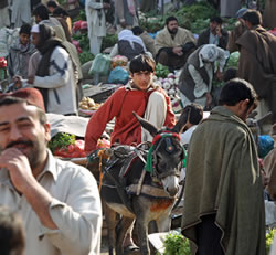 騒々しい野菜市場で、客を待つガファル君（中央）＝パキスタン・イスラマバードで２０１２年３月１０日、小川昌宏撮影