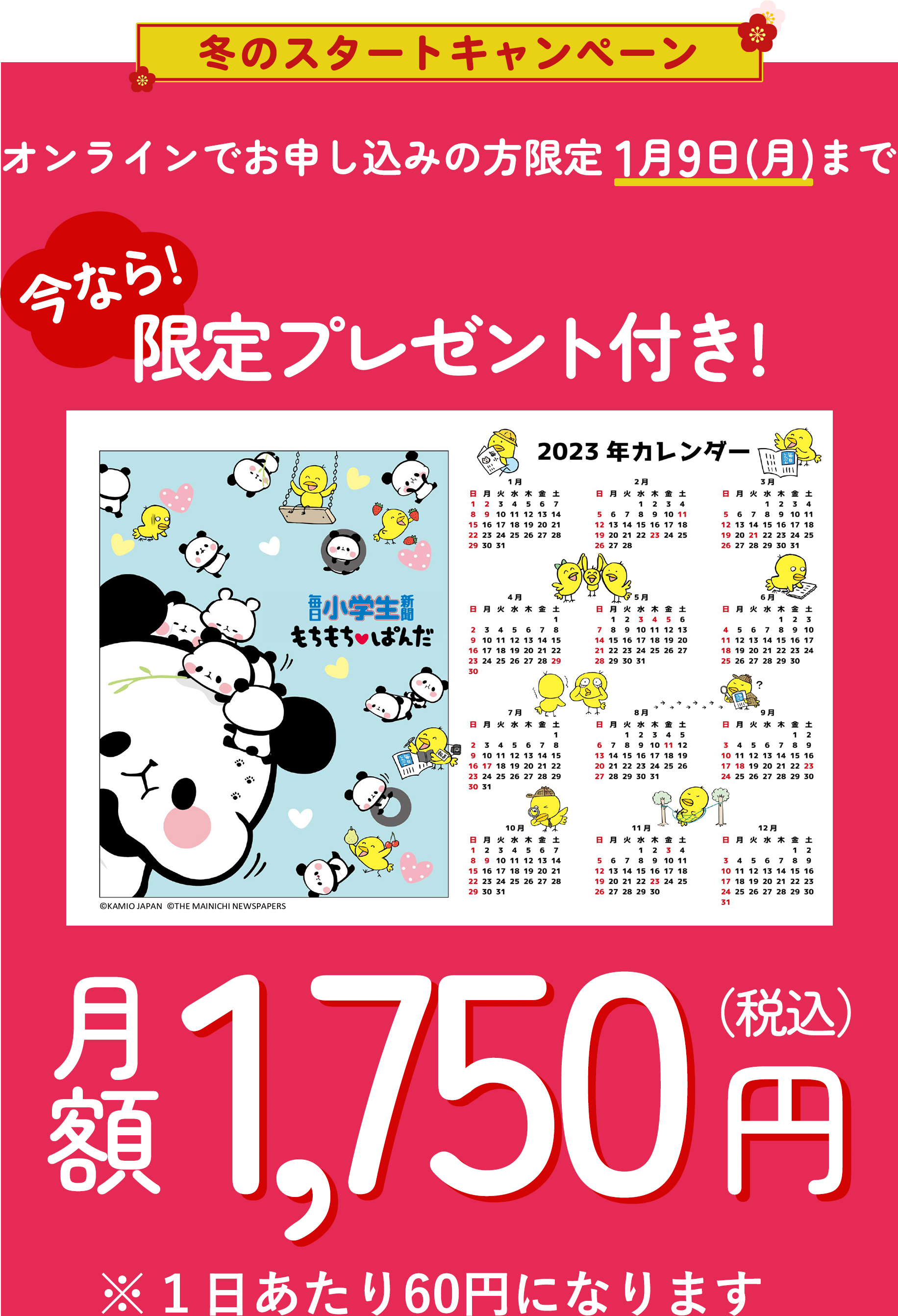 毎日届く 楽しいひととき
