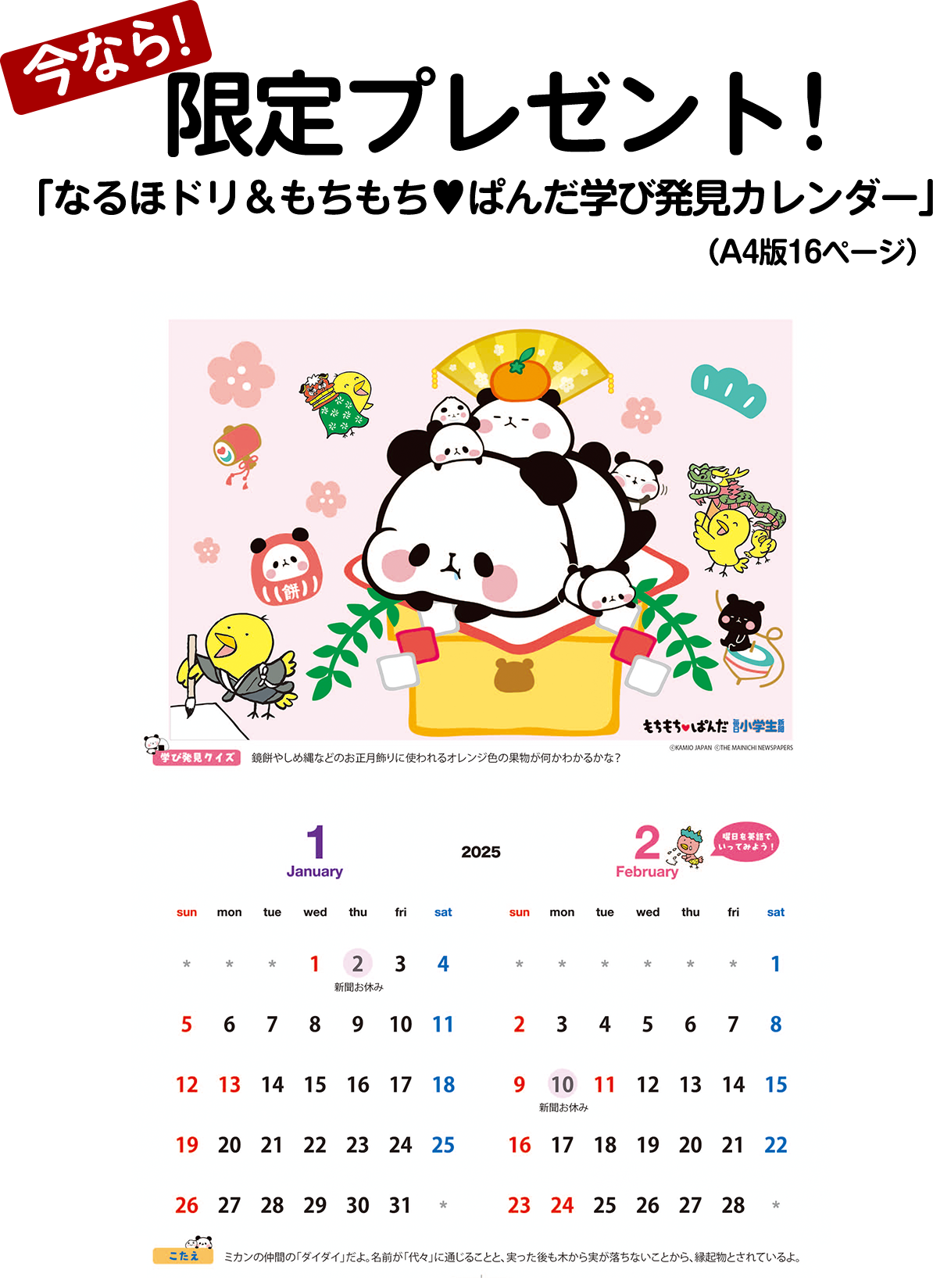 マークス公式 オンラインストア 【直営店限定】EDiT 手帳 2025 スケジュール帳 2025年1月始まり 1日1ページ A6正寸 リフィル | マークス公式オンラインストア | 専用ページ12/1 | おもちゃ | Klizfj