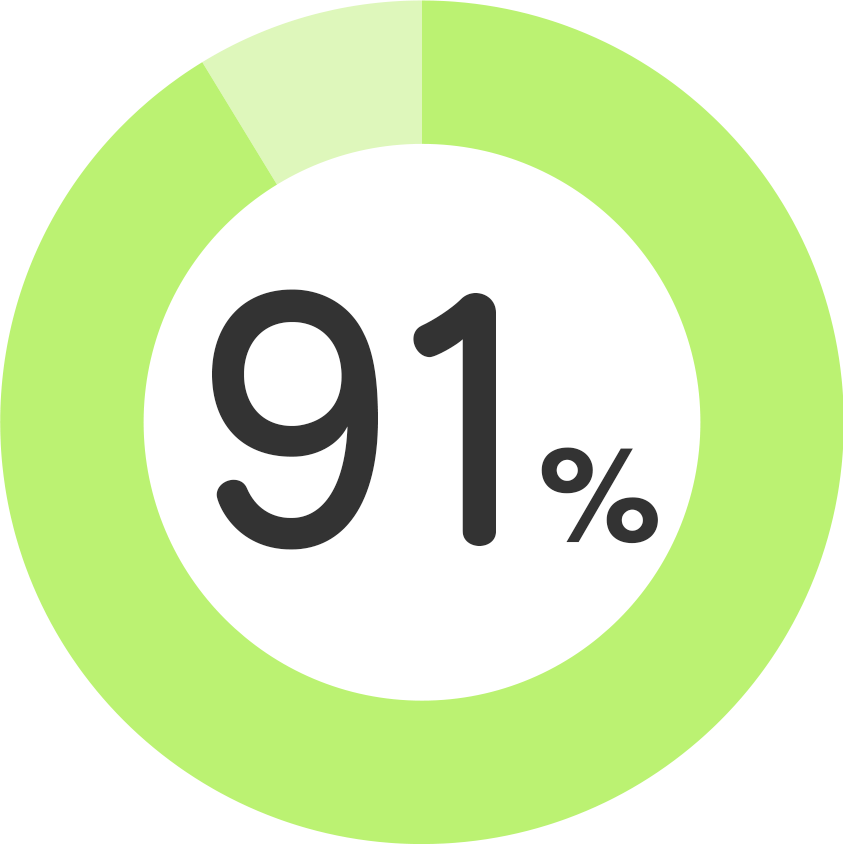 グラフ91％
