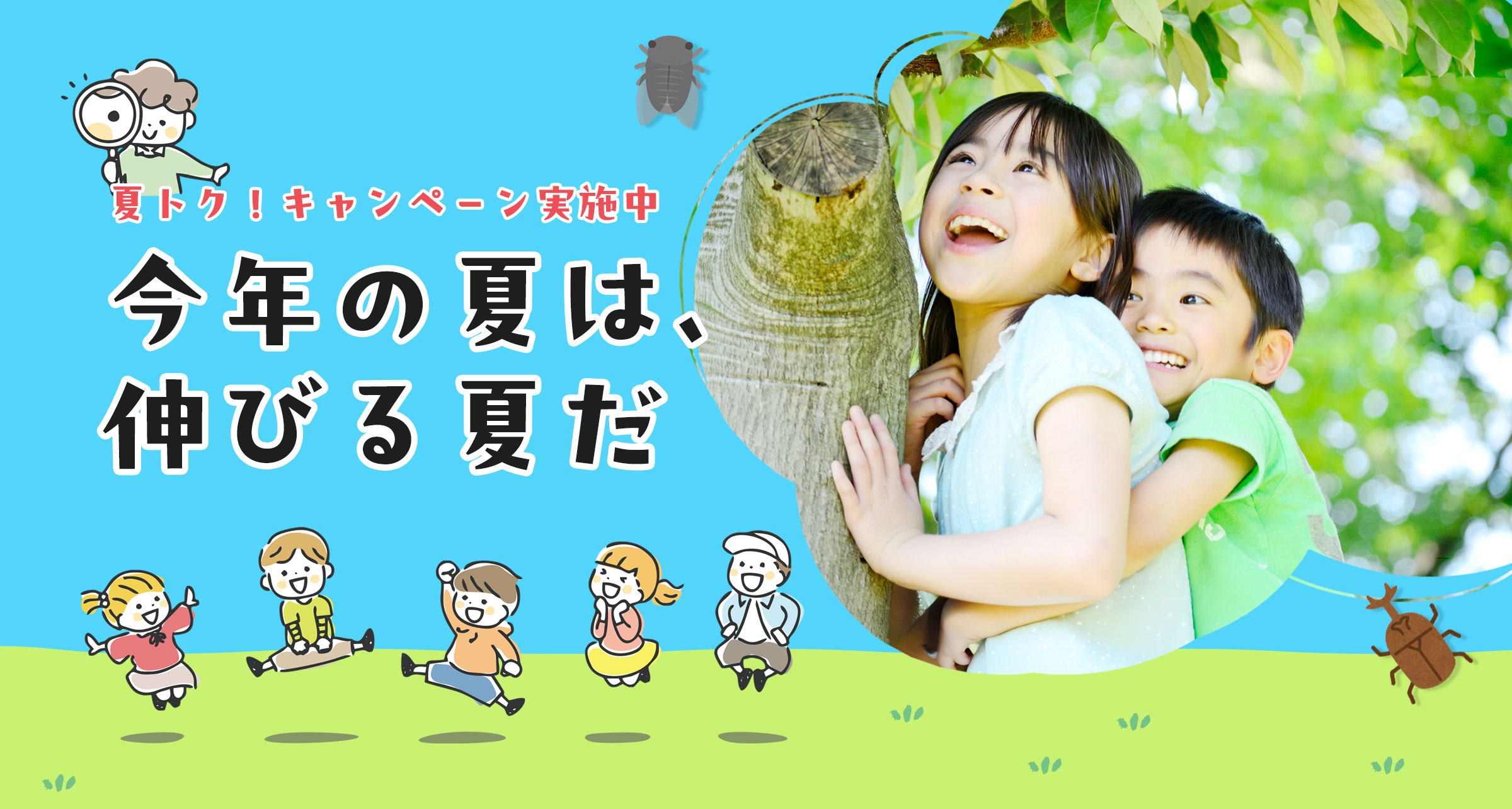今年の夏は、伸びる夏だ