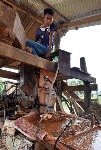 水銀を使うＡＳＧＭで、砕いた金鉱石を機械に流す作業を手伝うロン・ナロッさん＝カンボジア・プレアビヒア州ロムトムで