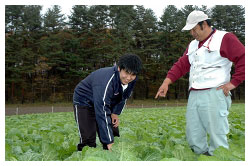 野菜を作る阿部さん