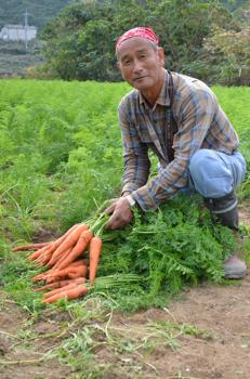 バンダナ父さんの人生記録　〜新しい仕事は故郷新潟から1000km〜 栢森　基宏さん=愛媛県松山市