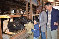 刑事より牛飼いを選んだ人生 塩田　薫さん(41)=香川県善通寺市