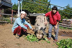 四頭の仔豚(こぶた)から 相原海さん(33)=神奈川県南足柄市