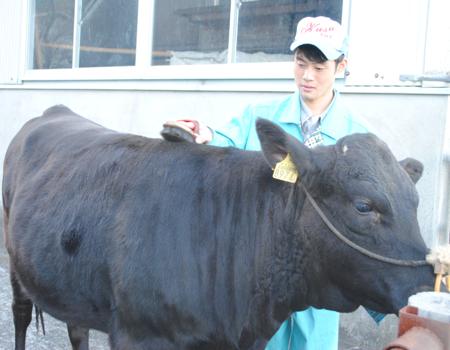 牛飼いになりたい 若杉将太郎さん(18)=大分・玖珠農業3年