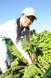 ダイコン畑からのメッセージ 田畑鈴香さん=熊本・菊池農2年