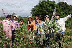 耕作放棄地を再生してブルーベリーを植えた畑で記念撮影するメンバーら=山口県宇部市で2014年6月(学生耕作隊提供)