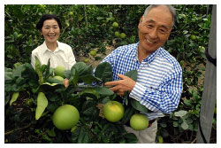 安岡賢之さん