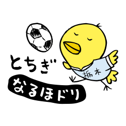 栃木なるほドリ　サッカー